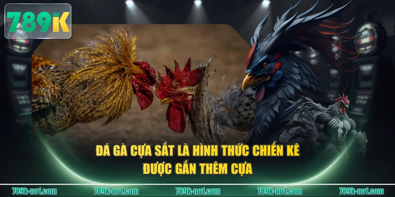 Đá gà cựa sắt là hình thức chiến kê được gắn thêm cựa